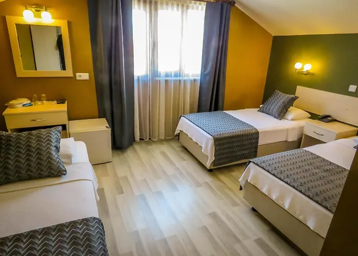 Hotel Remer 3*