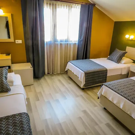 Hotel Remer 3*