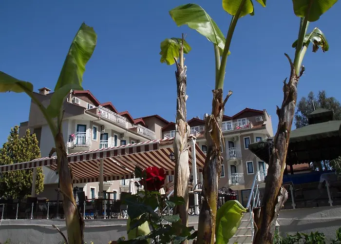 Ξενοδοχείο Remer 3*